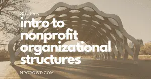 3 Meta Nonprofit Organizational Structures [Comparison]