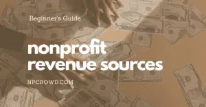 101 - nonprofit revenue sources