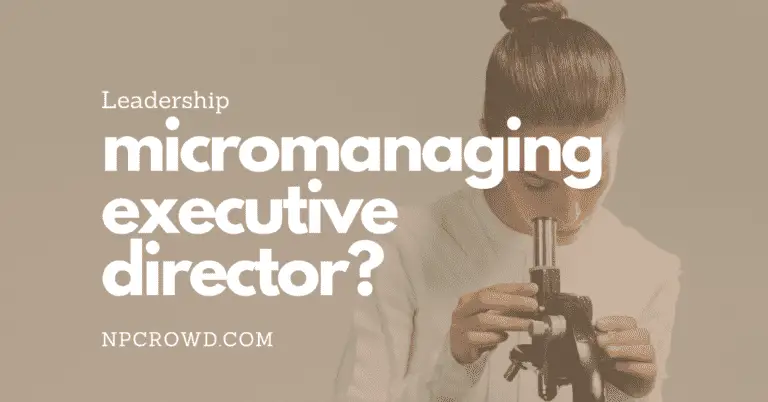Micromanaging Executive Director – 6 Strategies To Win